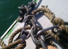 Out mooring clips