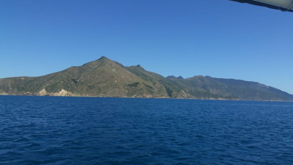 IMG-20190104-WA0011.jpg