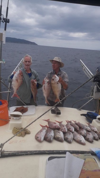 IMG-20191214-WA0010.jpeg