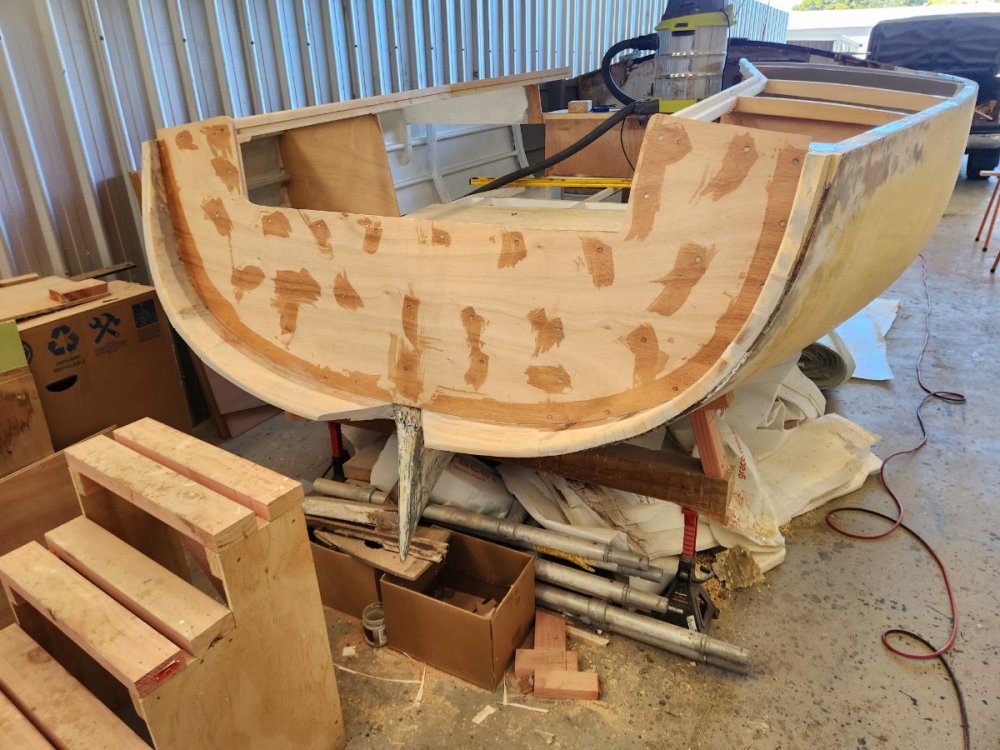 20250306_163710 - Copy.jpg